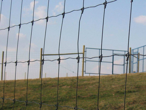 草原圍欄網(wǎng)