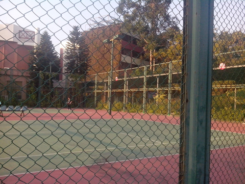 體育場(chǎng)圍欄網(wǎng) 體育場(chǎng)圍欄網(wǎng)